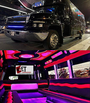 20-22 Passenger Party Bus